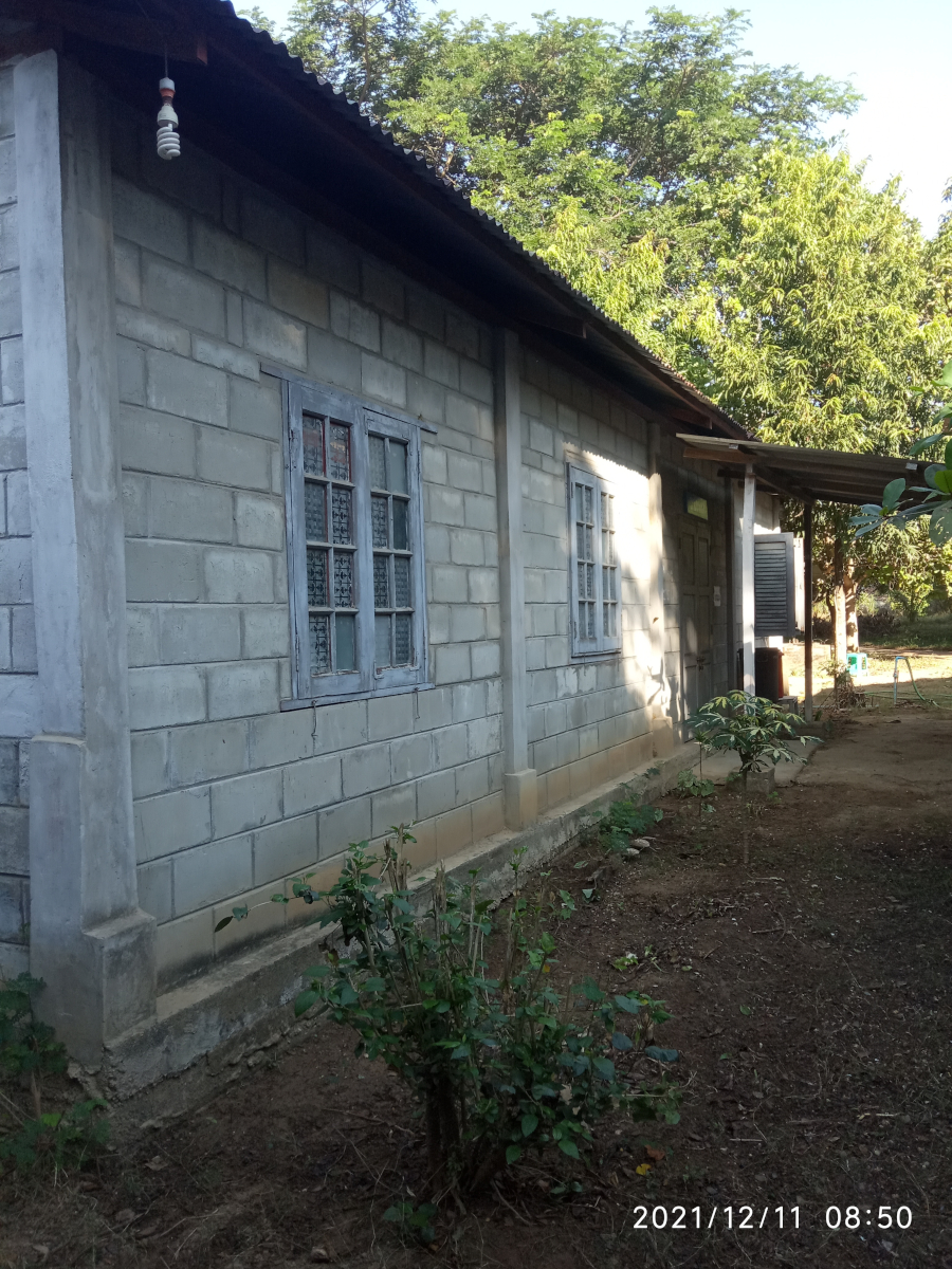 A photo of the library